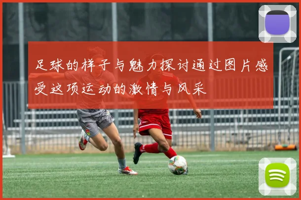 足球的样子与魅力探讨通过图片感受这项运动的激情与风采