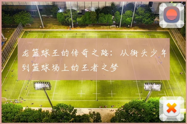 龙篮球王的传奇之路：从街头少年到篮球场上的王者之梦