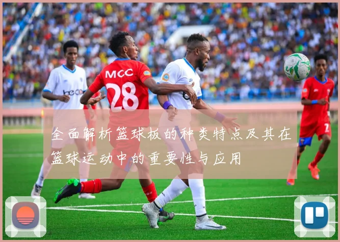 全面解析篮球板的种类特点及其在篮球运动中的重要性与应用